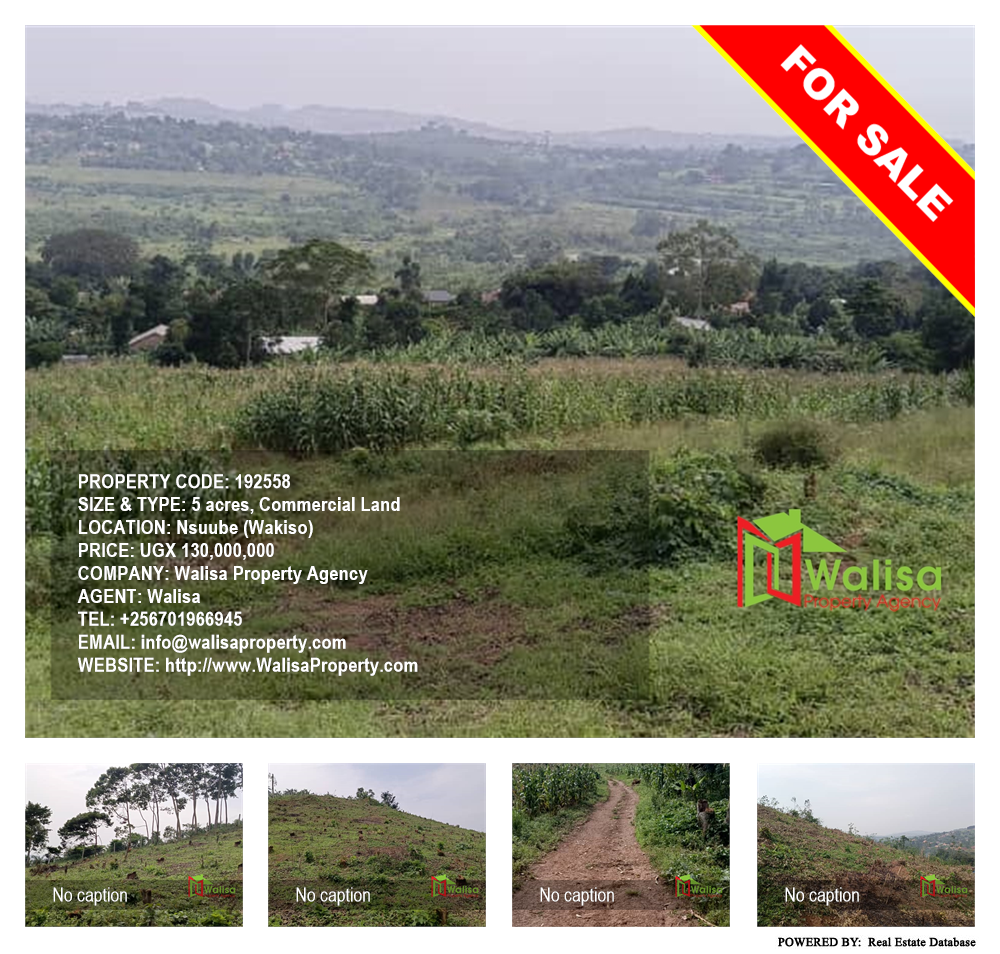 Commercial Land  for sale in Nsuube Wakiso Uganda, code: 192558