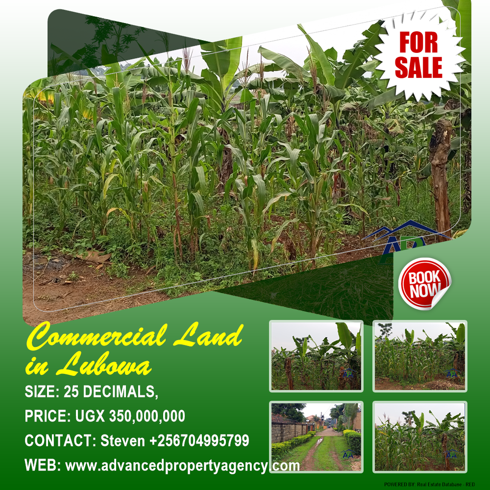 Commercial Land  for sale in Lubowa Wakiso Uganda, code: 193169