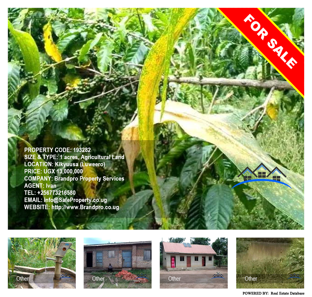 Agricultural Land  for sale in Kikyuusa Luweero Uganda, code: 193282