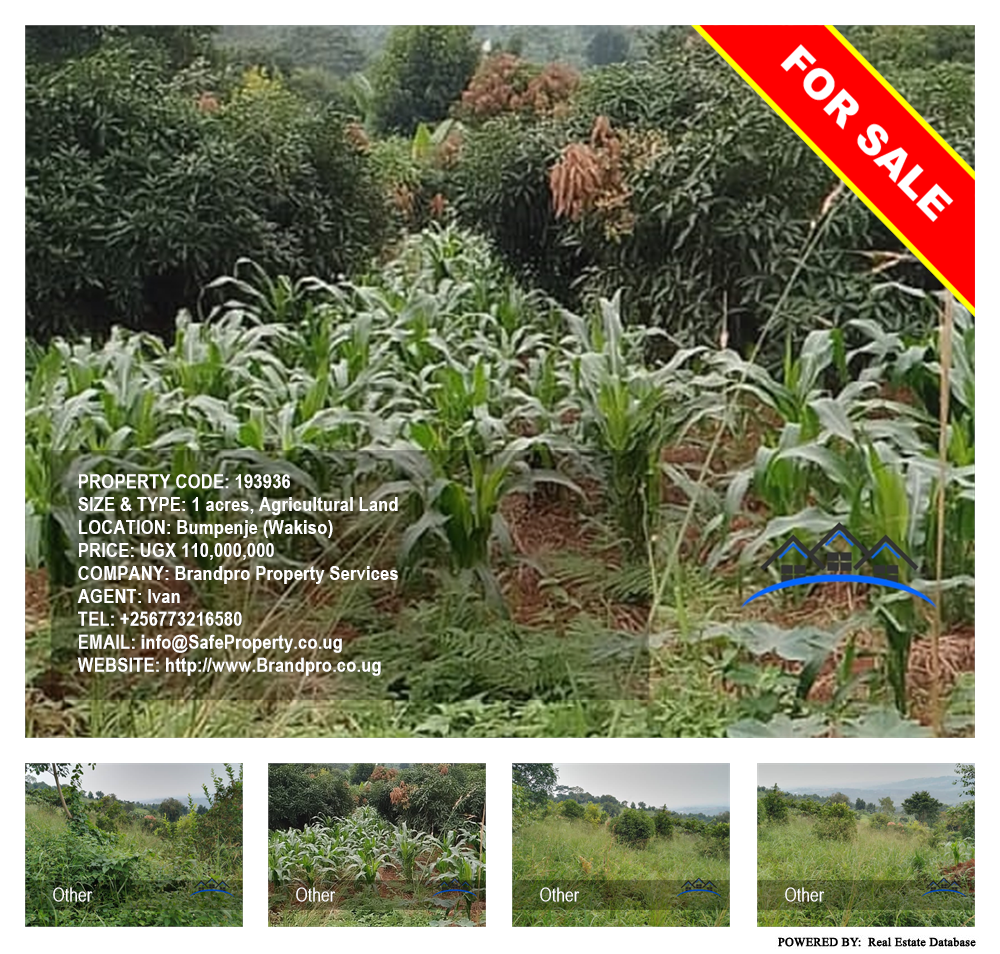 Agricultural Land  for sale in Bumpenje Wakiso Uganda, code: 193936