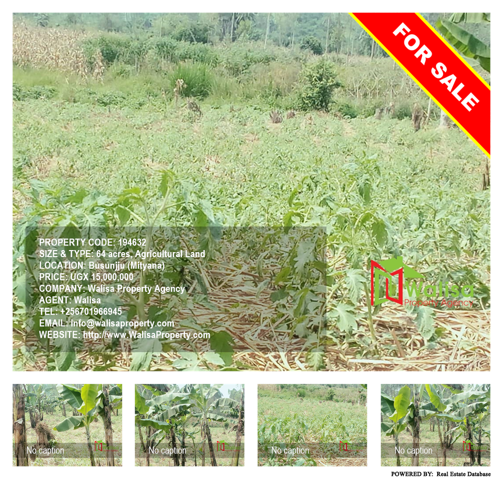 Agricultural Land  for sale in Busunjju Mityana Uganda, code: 194632