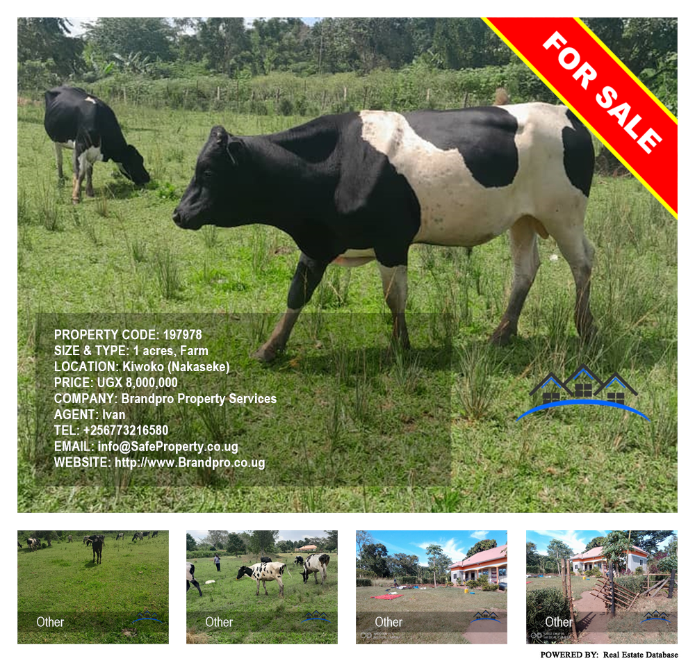 Farm  for sale in Kiwoko Nakaseke Uganda, code: 197978