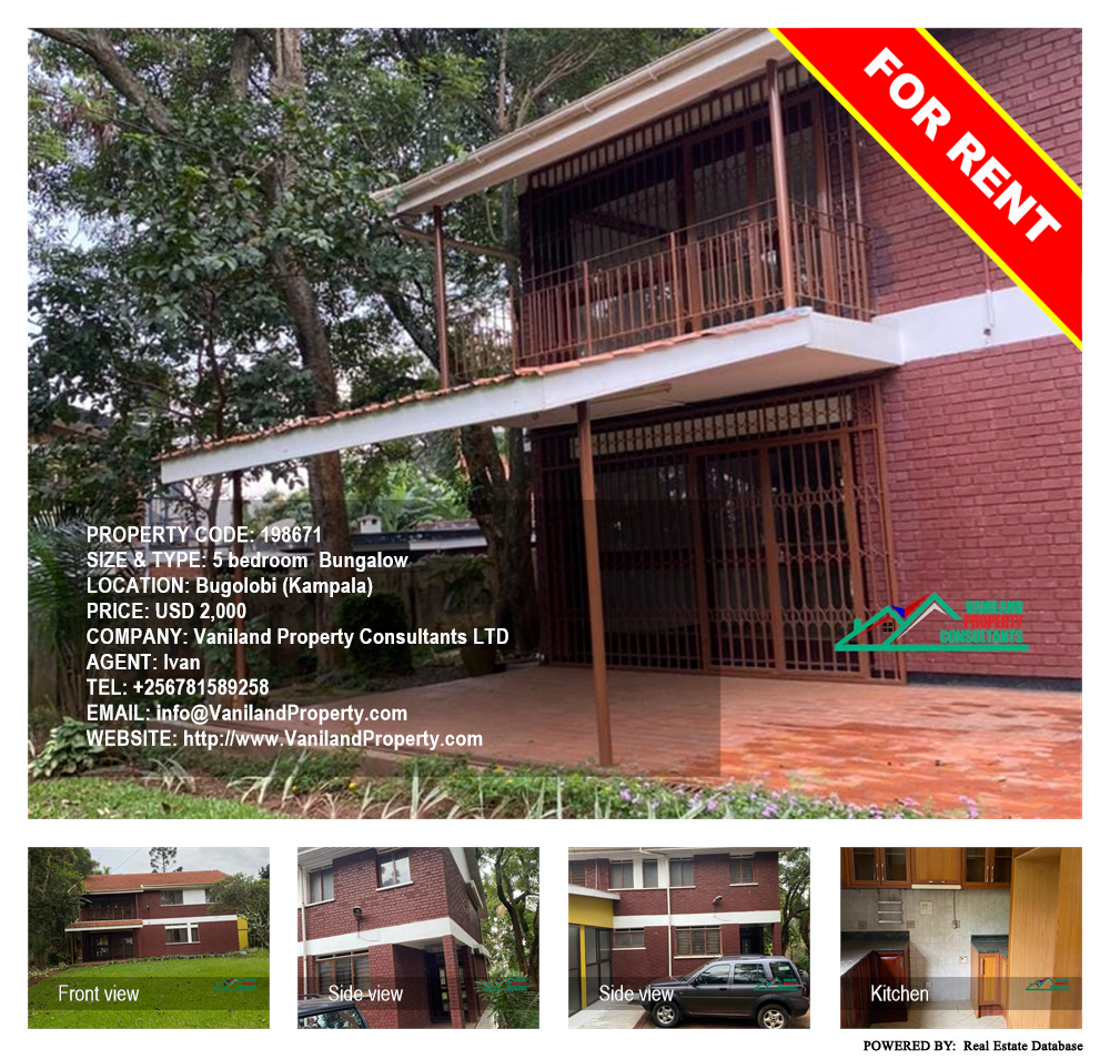 5 bedroom Bungalow  for rent in Bugoloobi Kampala Uganda, code: 198671