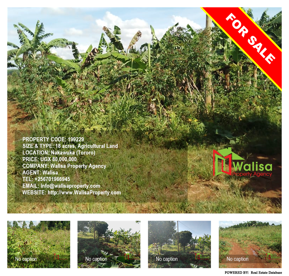 Agricultural Land  for sale in Nakawuka Tororo Uganda, code: 199229