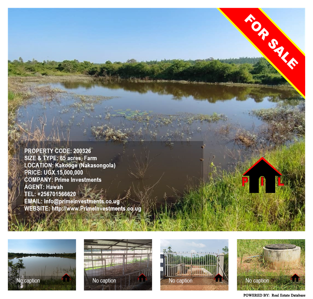 Farm  for sale in Kakooge Nakasongola Uganda, code: 200326