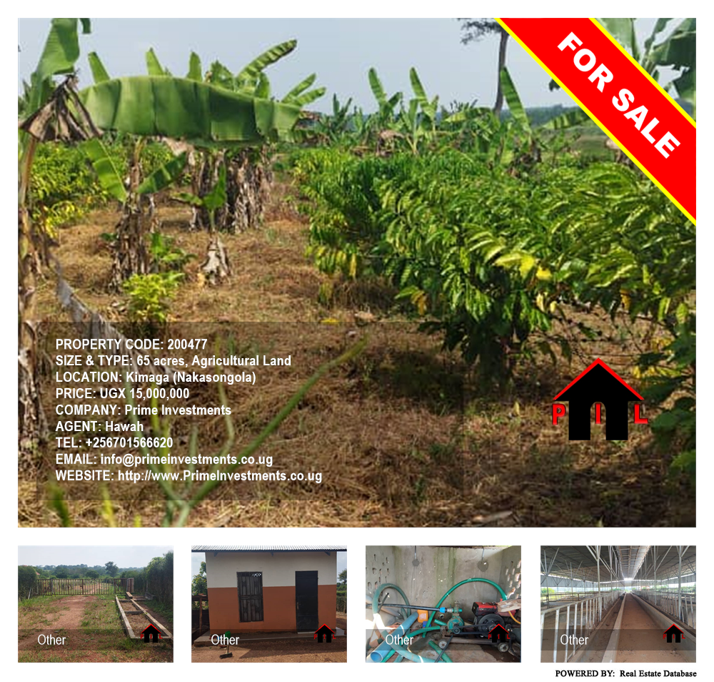 Agricultural Land  for sale in Kimaga Nakasongola Uganda, code: 200477