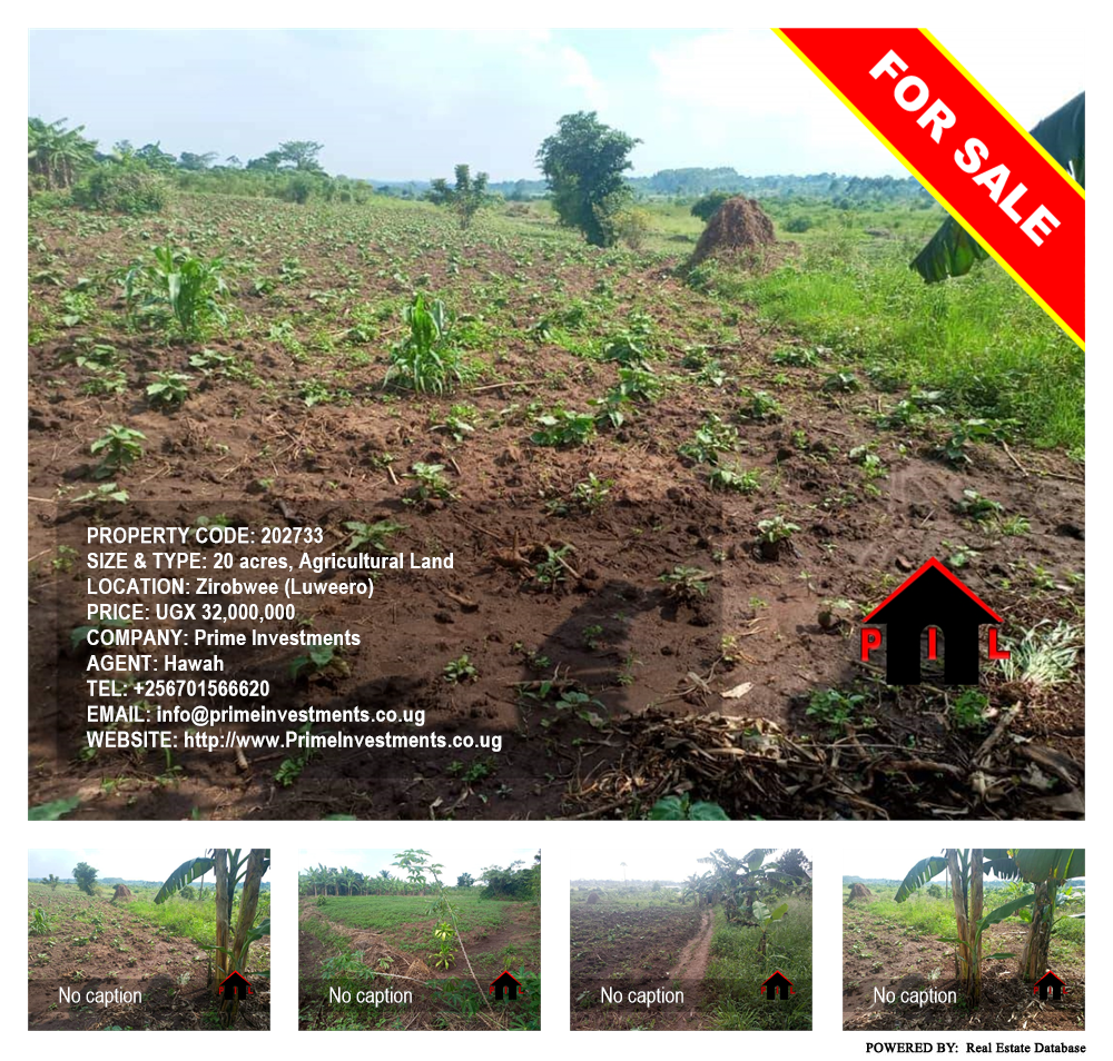 Agricultural Land  for sale in Zirobwee Luweero Uganda, code: 202733