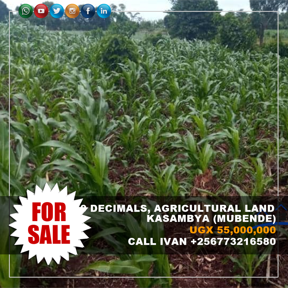 Agricultural Land  for sale in Kasambya Mubende Uganda, code: 203189