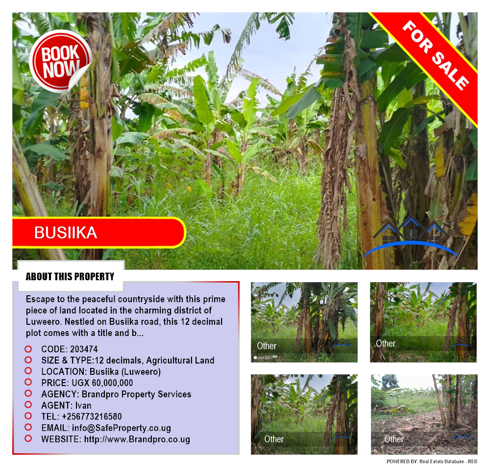 Agricultural Land  for sale in Busiika Luweero Uganda, code: 203474