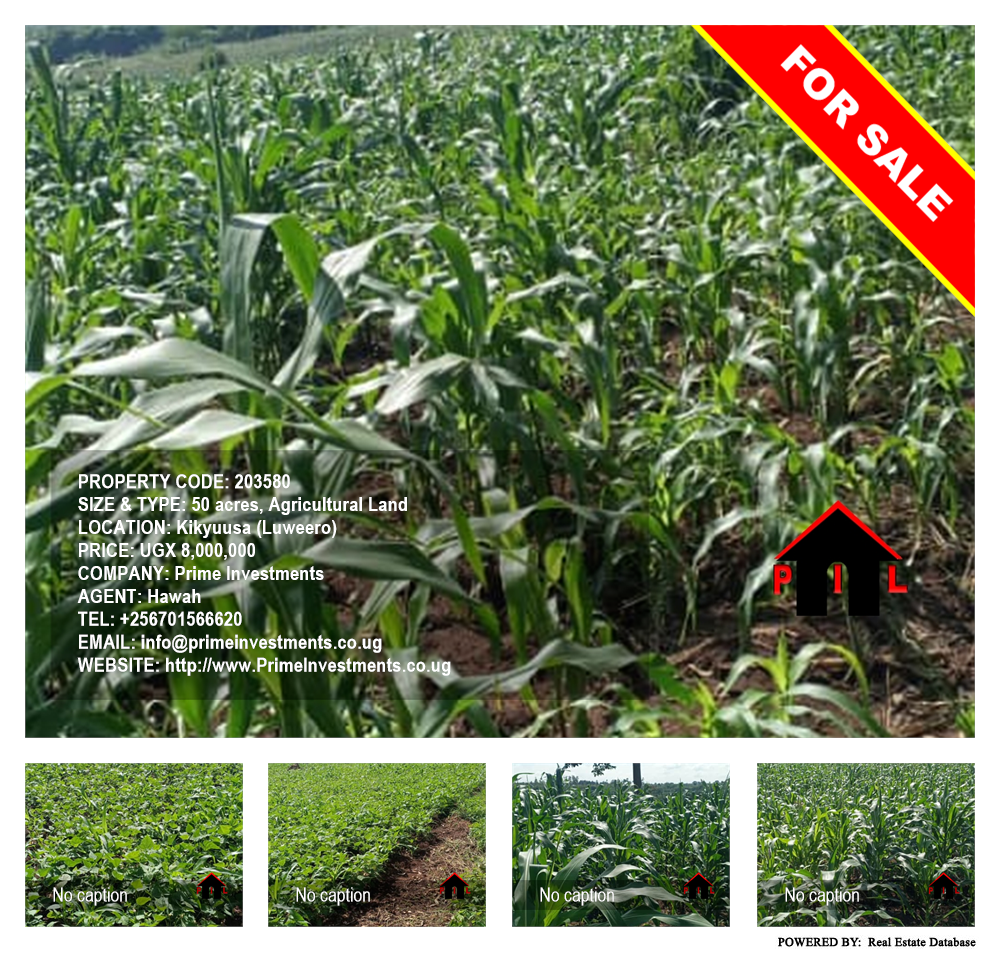 Agricultural Land  for sale in Kikyuusa Luweero Uganda, code: 203580