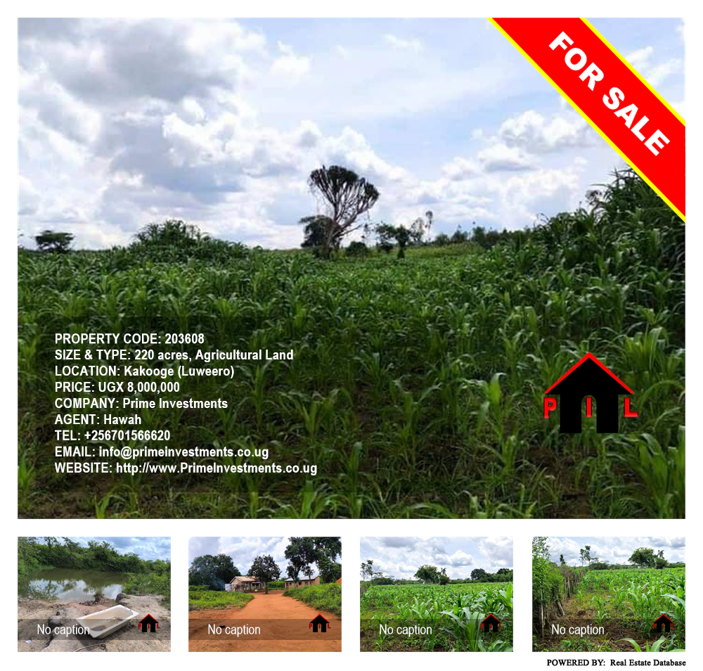 Agricultural Land  for sale in Kakooge Luweero Uganda, code: 203608