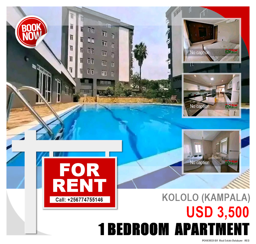 1 bedroom Apartment  for rent in Kololo Kampala Uganda, code: 204410