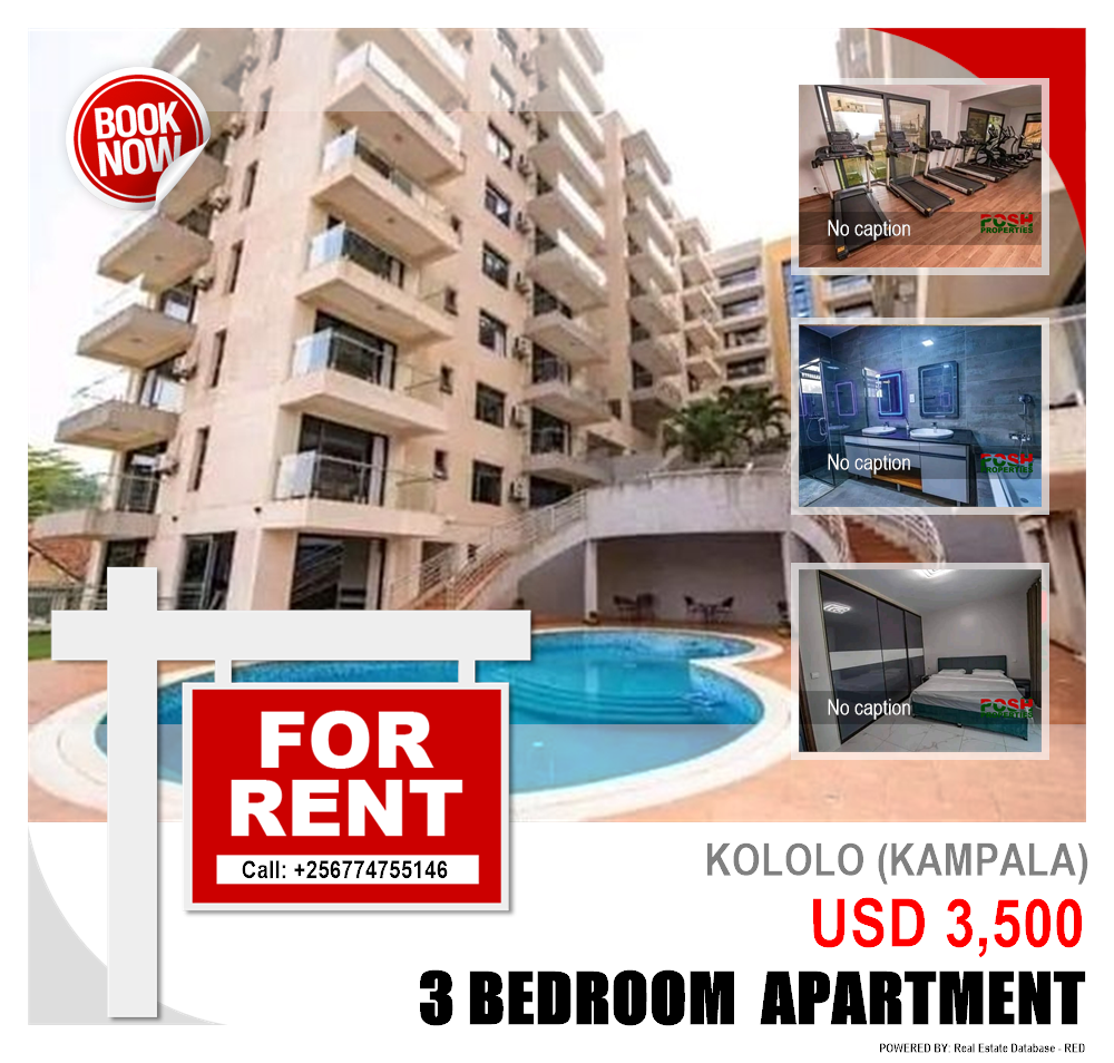 3 bedroom Apartment  for rent in Kololo Kampala Uganda, code: 204504