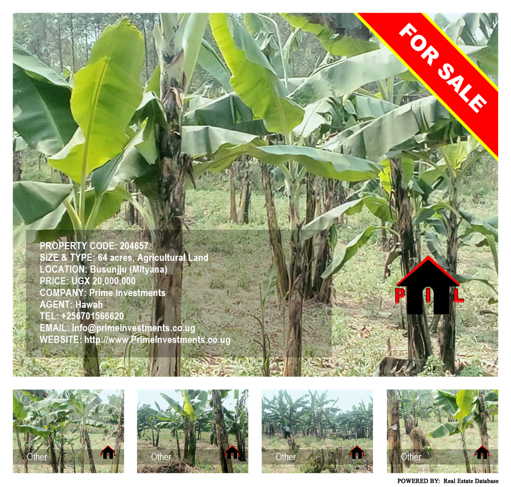 Agricultural Land  for sale in Busunjju Mityana Uganda, code: 204657