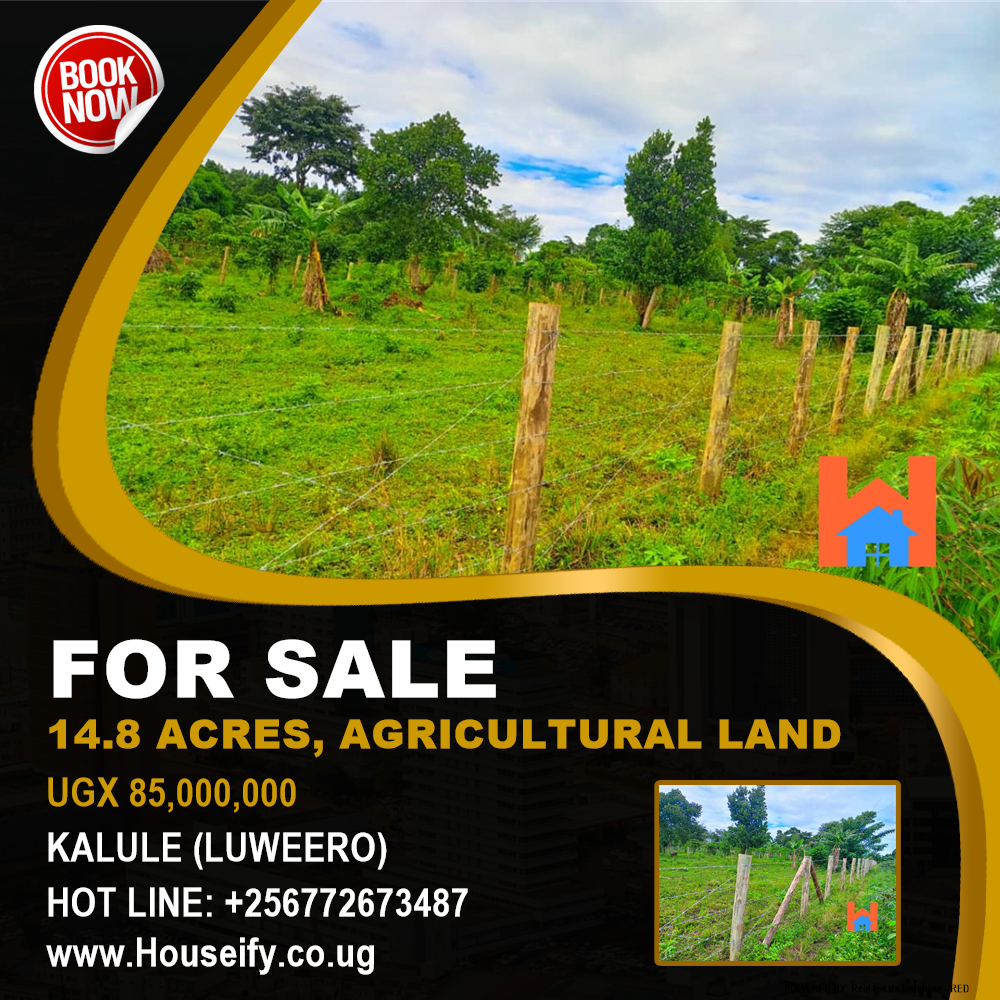 Agricultural Land  for sale in Kalule Luweero Uganda, code: 205488