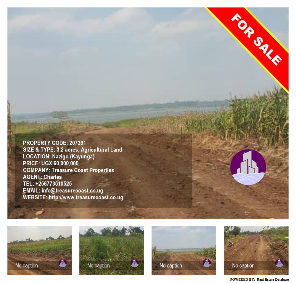 Agricultural Land  for sale in Nazigo Kayunga Uganda, code: 207391