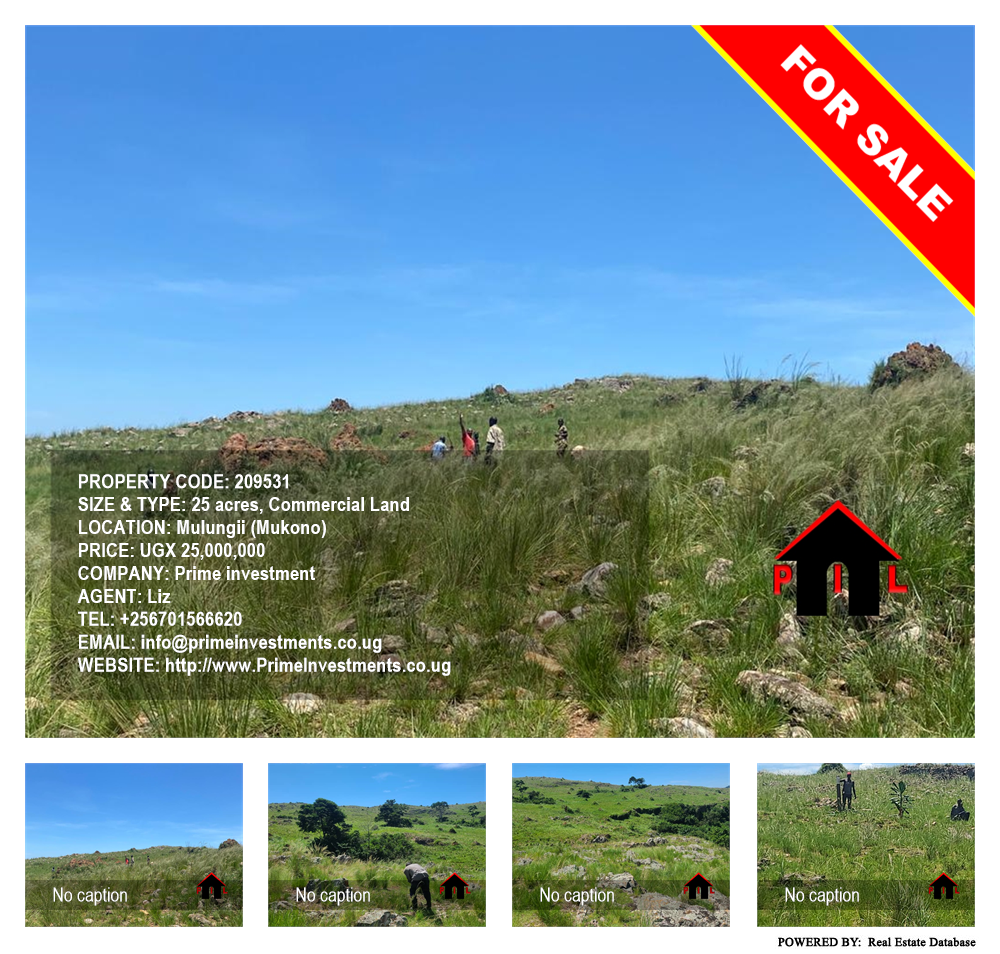 Commercial Land  for sale in Mulungii Mukono Uganda, code: 209531