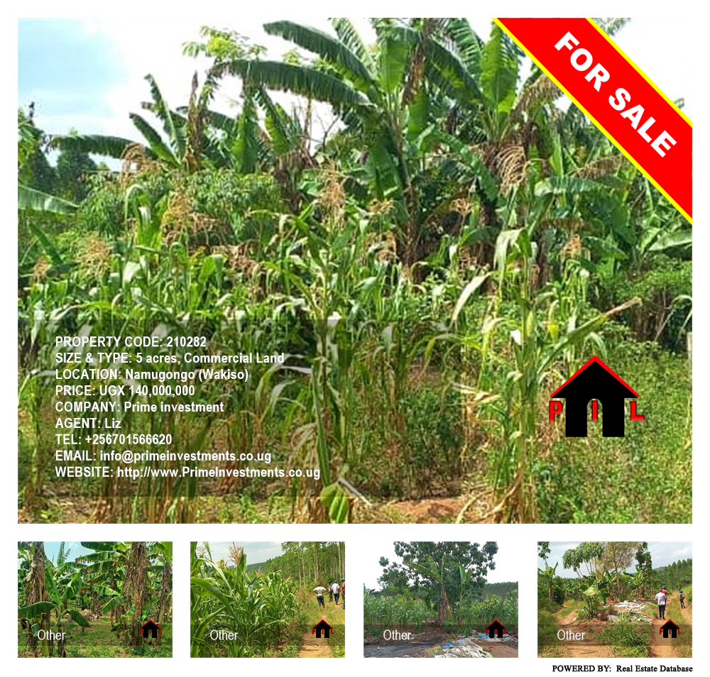 Commercial Land  for sale in Namugongo Wakiso Uganda, code: 210282