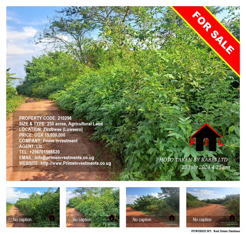 Agricultural Land  for sale in Zirobwee Luweero Uganda, code: 210296