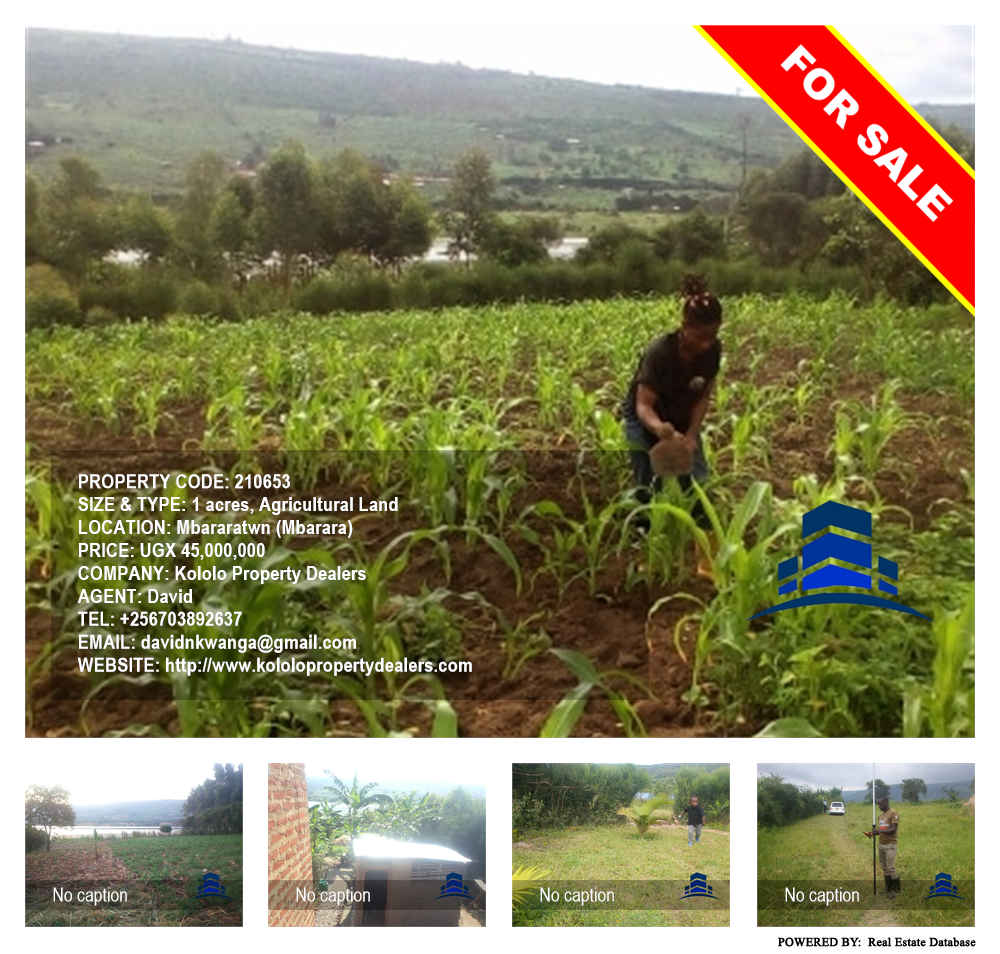 Agricultural Land  for sale in Mbararatwn Mbarara Uganda, code: 210653