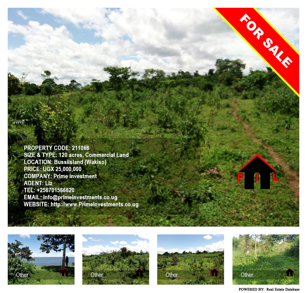 Commercial Land  for sale in Bussiisland Wakiso Uganda, code: 211066