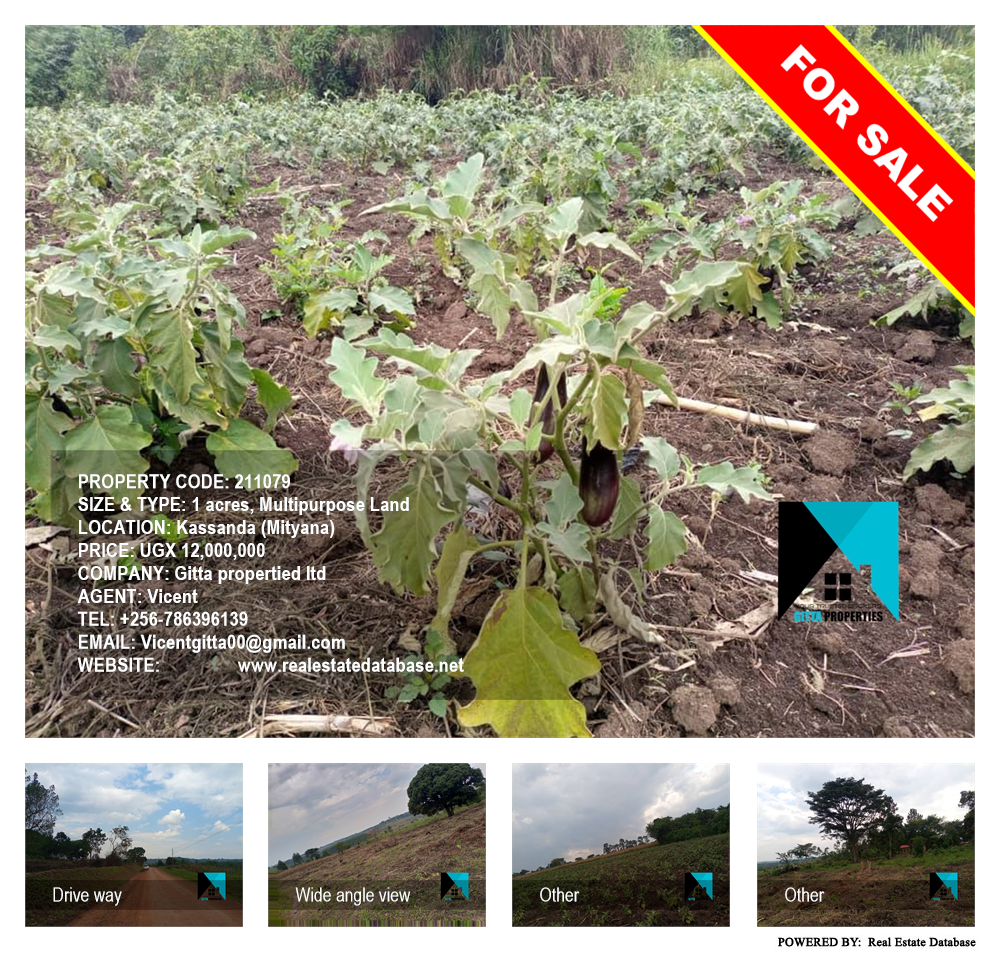 Multipurpose Land  for sale in Kassanda Mityana Uganda, code: 211079