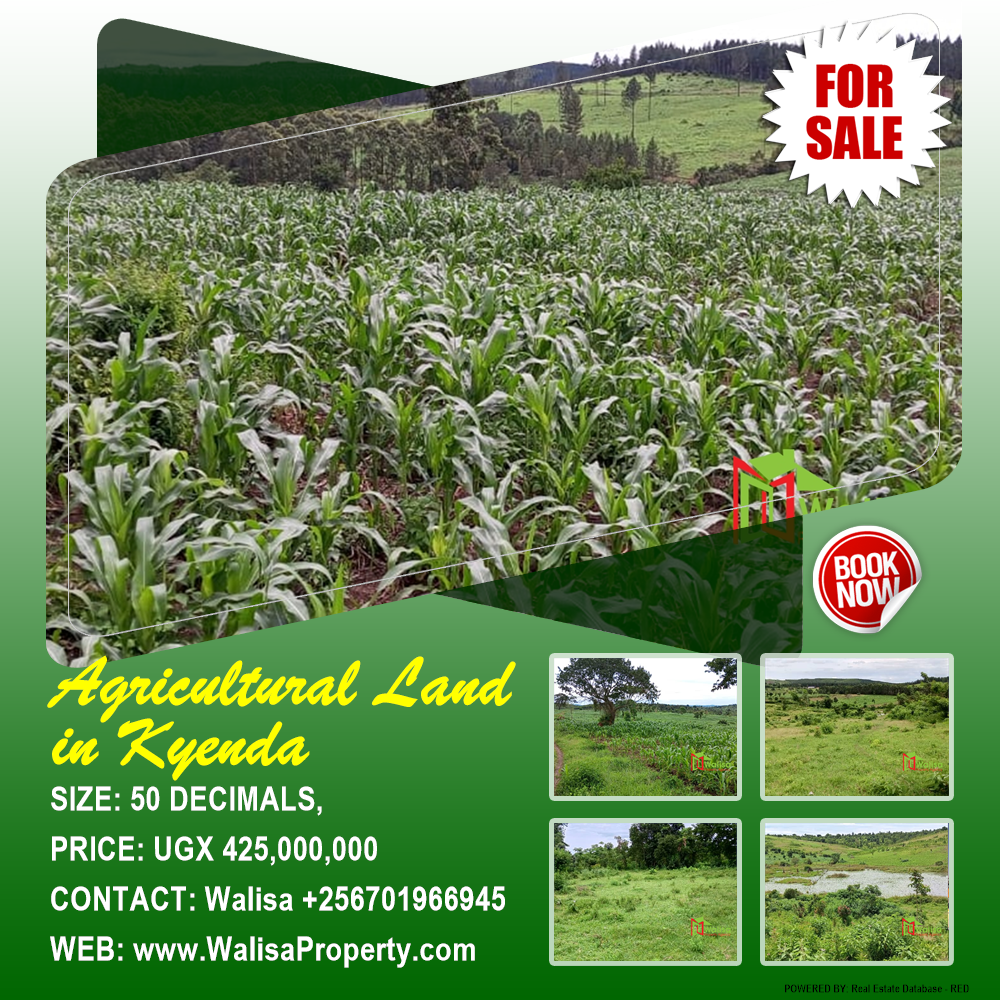 Agricultural Land  for sale in Kyenda Mubende Uganda, code: 211268