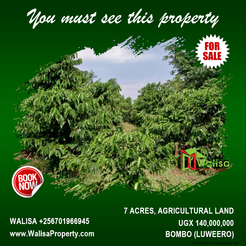 Agricultural Land  for sale in Bombo Luweero Uganda, code: 211568