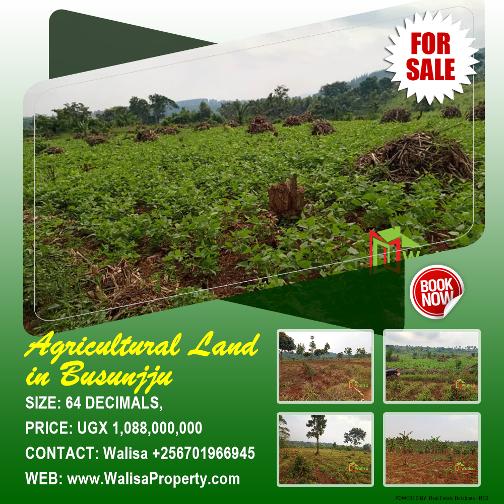 Agricultural Land  for sale in Busunjju Mityana Uganda, code: 212529