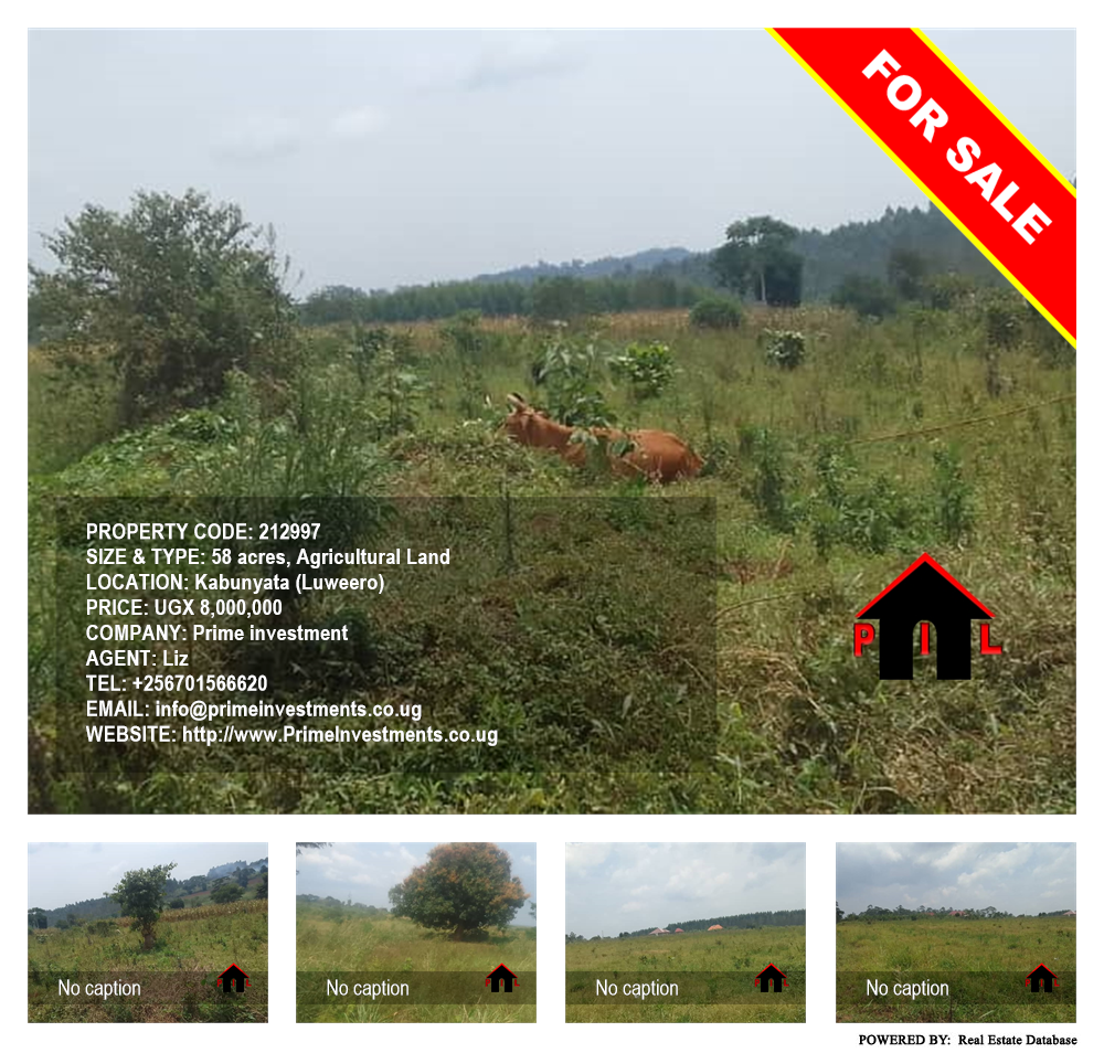 Agricultural Land  for sale in Kabunyata Luweero Uganda, code: 212997