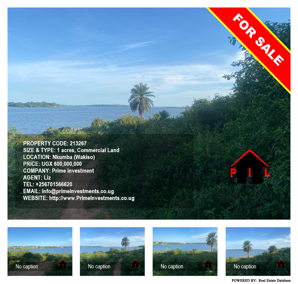 Commercial Land  for sale in Nkumba Wakiso Uganda, code: 213267