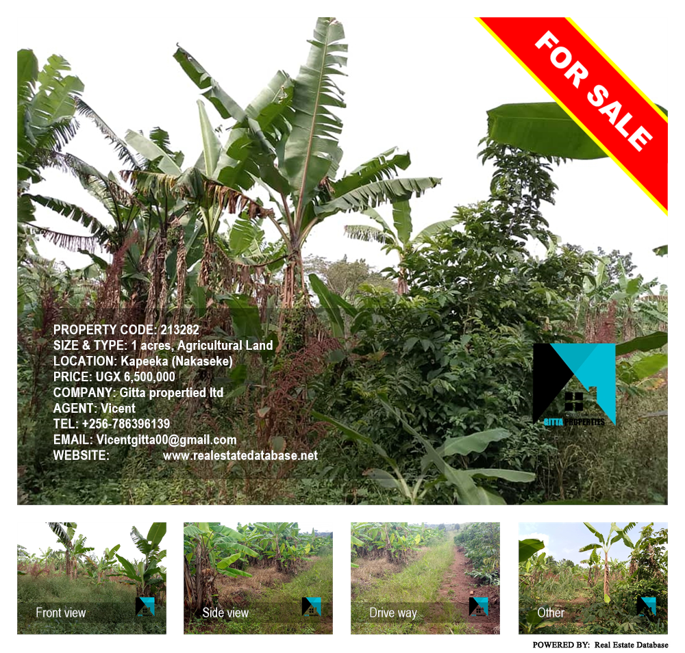 Agricultural Land  for sale in Kapeeka Nakaseke Uganda, code: 213282