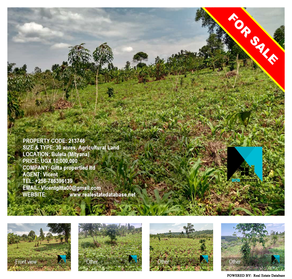 Agricultural Land  for sale in Bulela Mityana Uganda, code: 213746