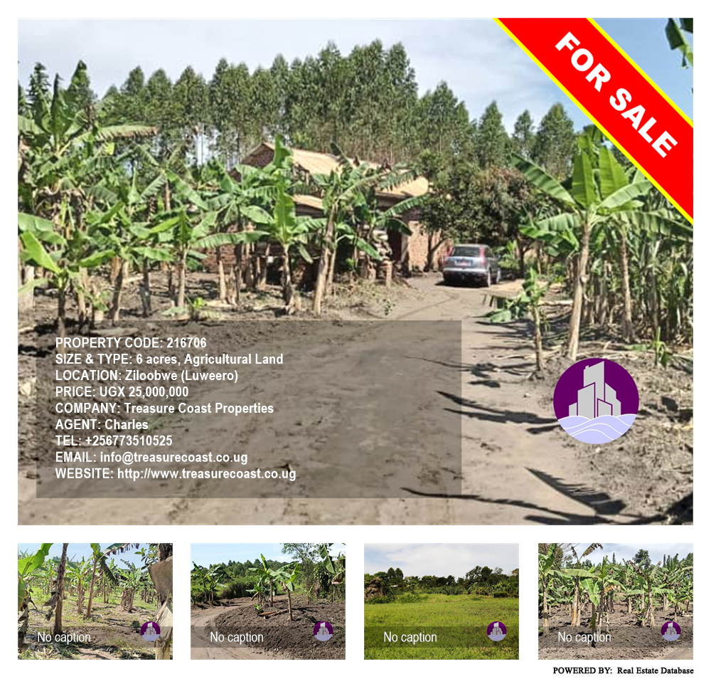 Agricultural Land  for sale in Ziloobwe Luweero Uganda, code: 216706