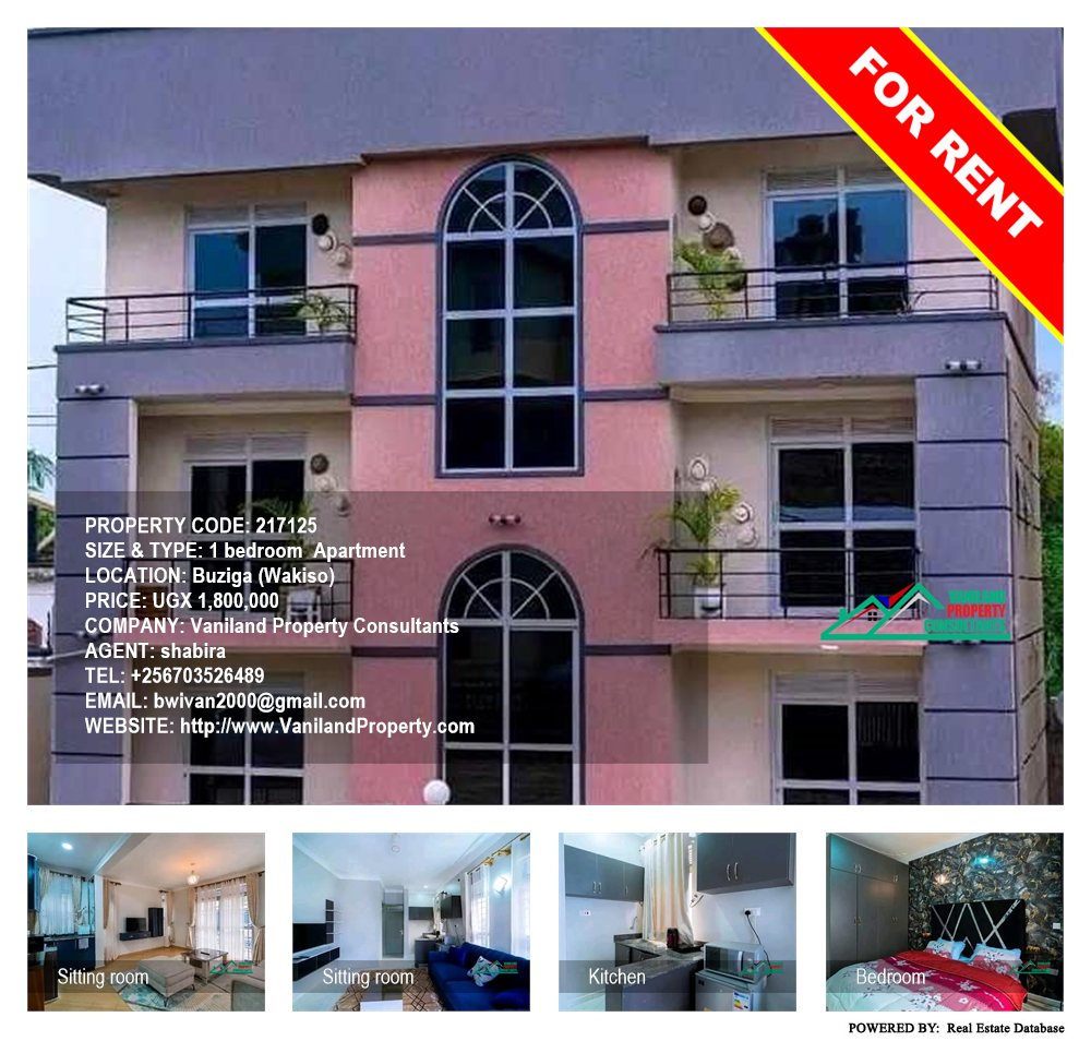 1 bedroom Apartment  for rent in Buziga Wakiso Uganda, code: 217125