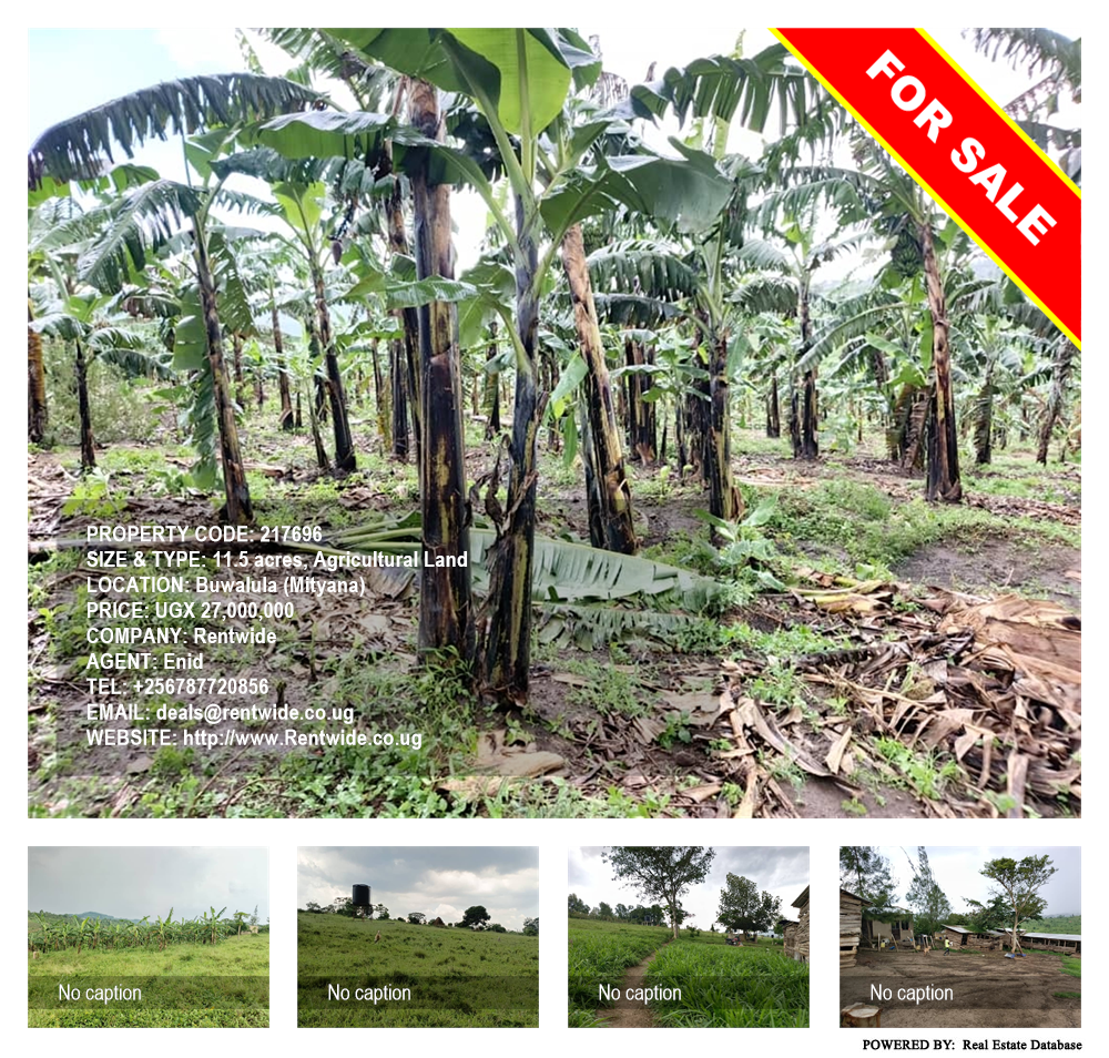 Agricultural Land  for sale in Buwalula Mityana Uganda, code: 217696