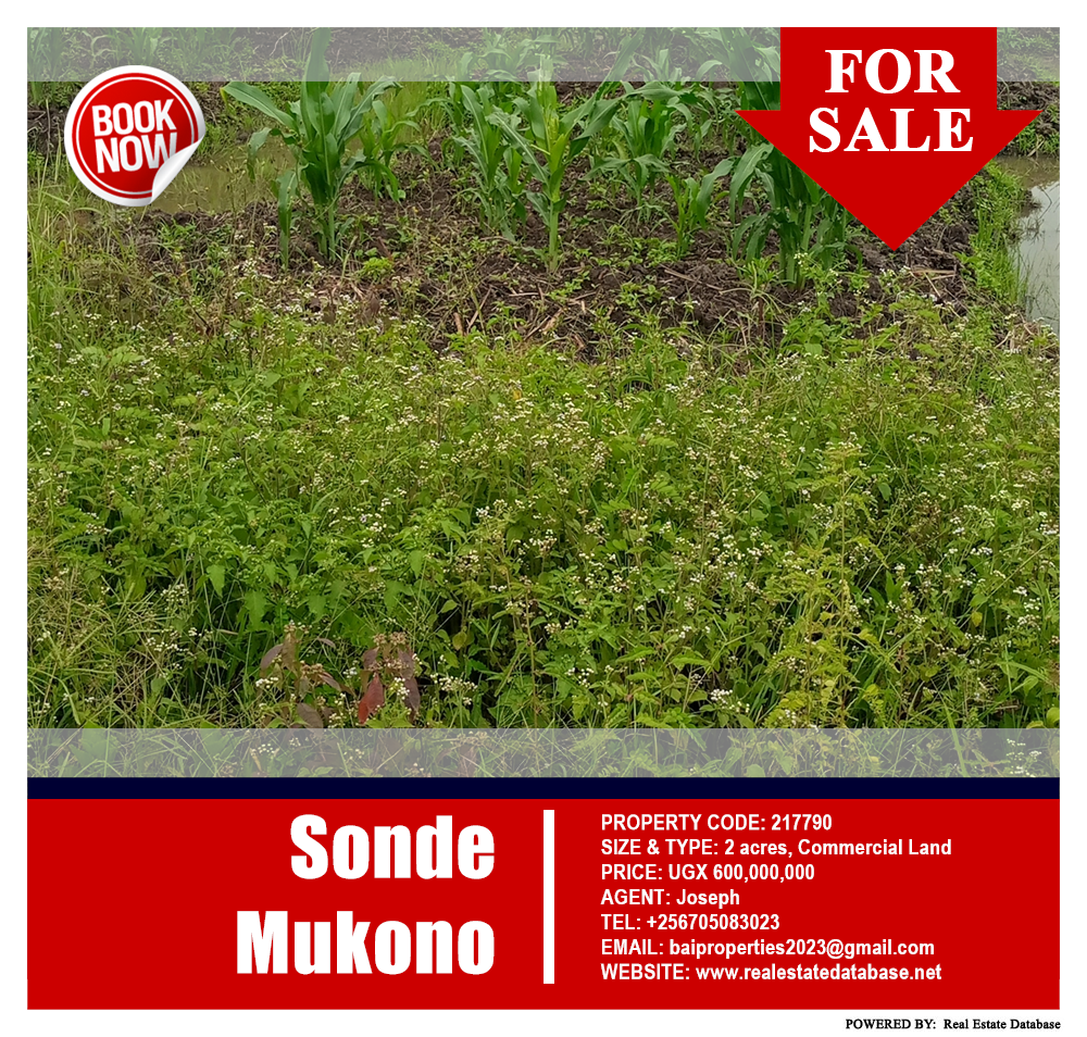 Commercial Land  for sale in Sonde Mukono Uganda, code: 217790