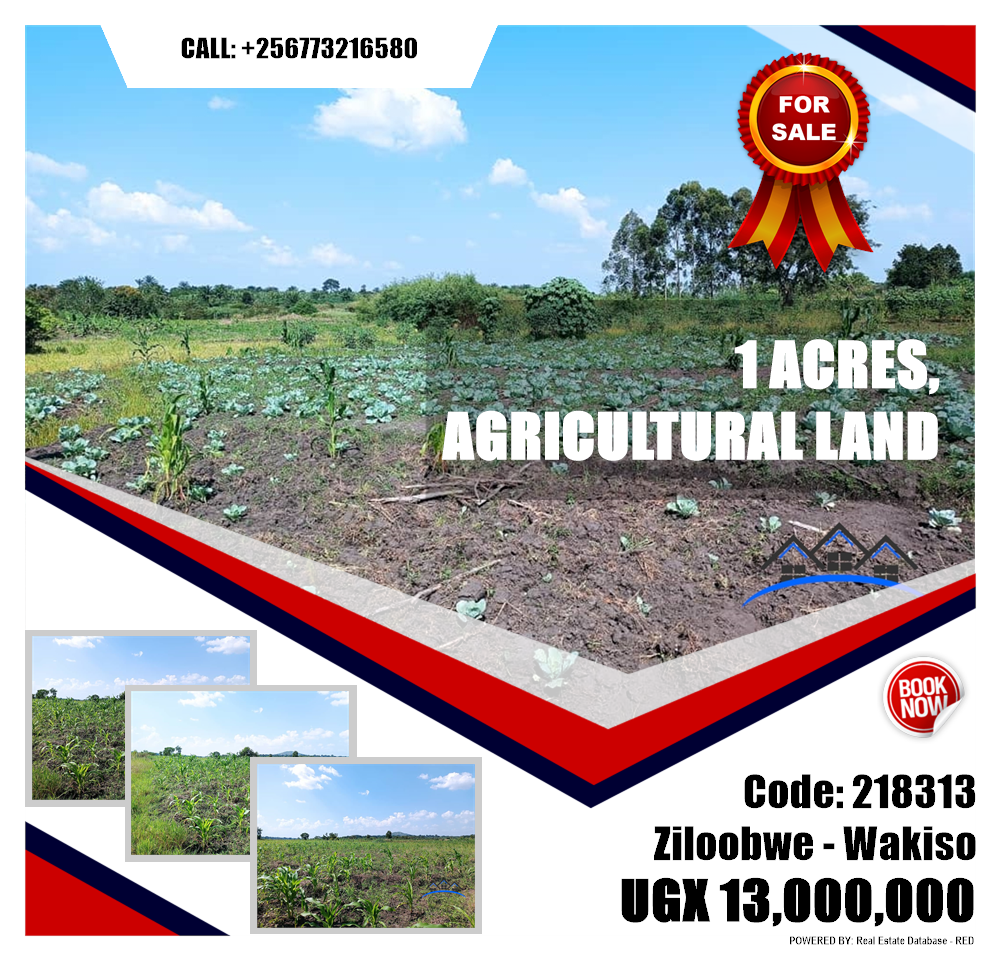 Agricultural Land  for sale in Ziloobwe Wakiso Uganda, code: 218313