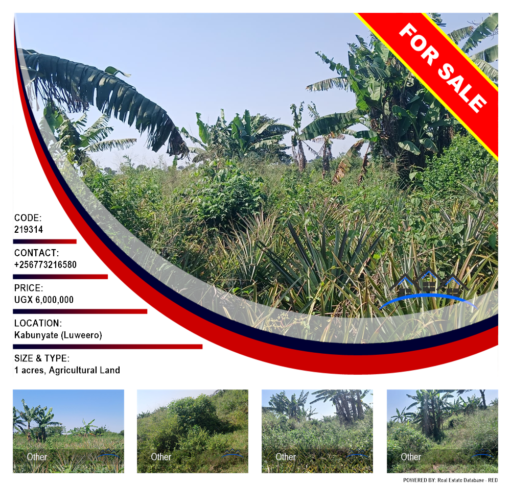 Agricultural Land  for sale in Kabunyate Luweero Uganda, code: 219314