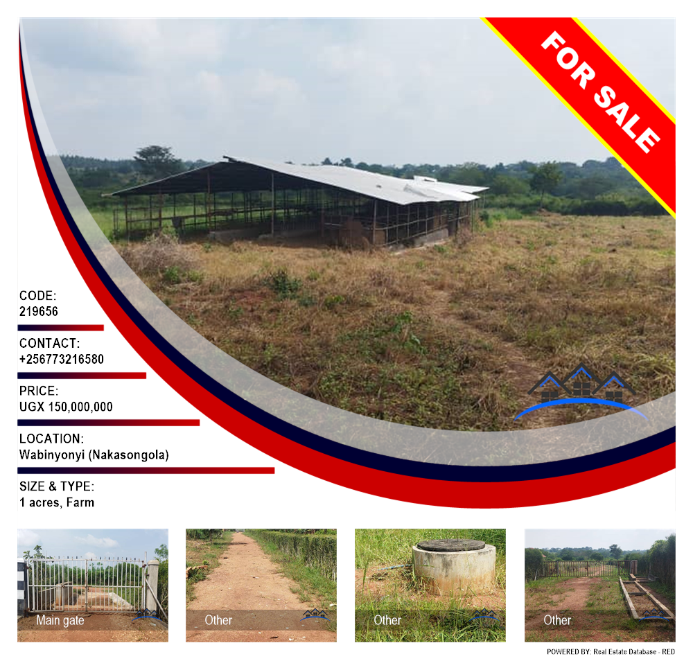 Farm  for sale in Wabinyonyi Nakasongola Uganda, code: 219656