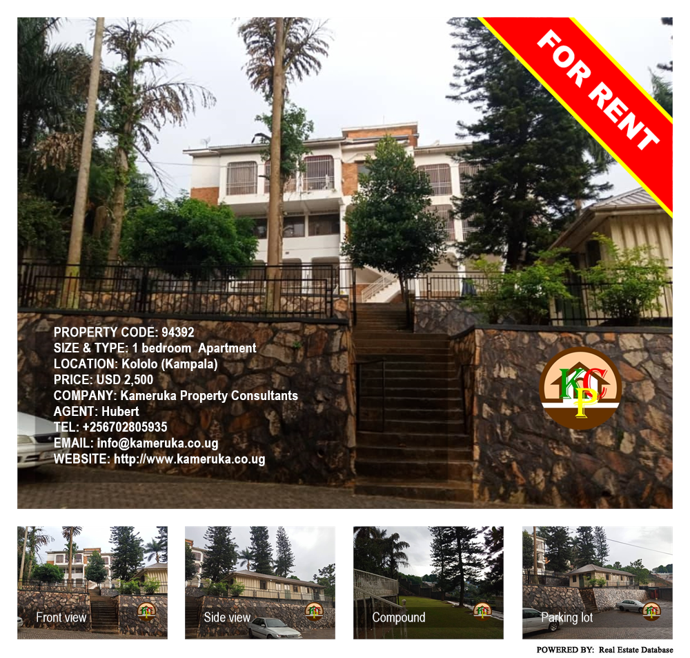 1 bedroom Apartment  for rent in Kololo Kampala Uganda, code: 94392