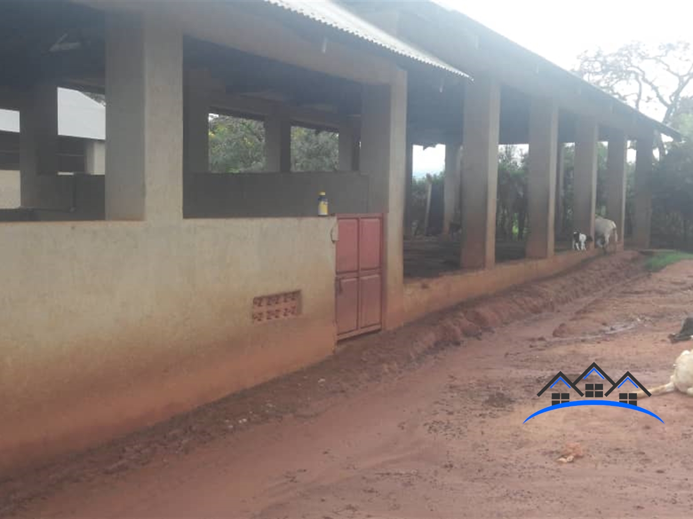 Farm for sale in Kiwoko Nakaseke