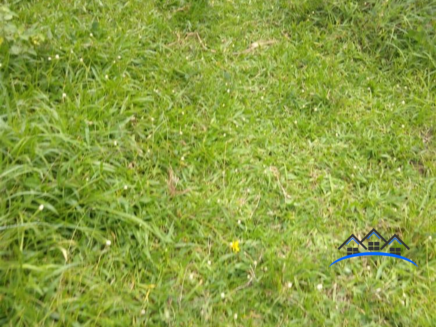 Agricultural Land for sale in Gomba Mpigi