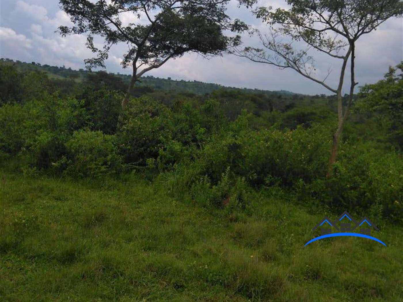 Agricultural Land for sale in Gomba Mpigi