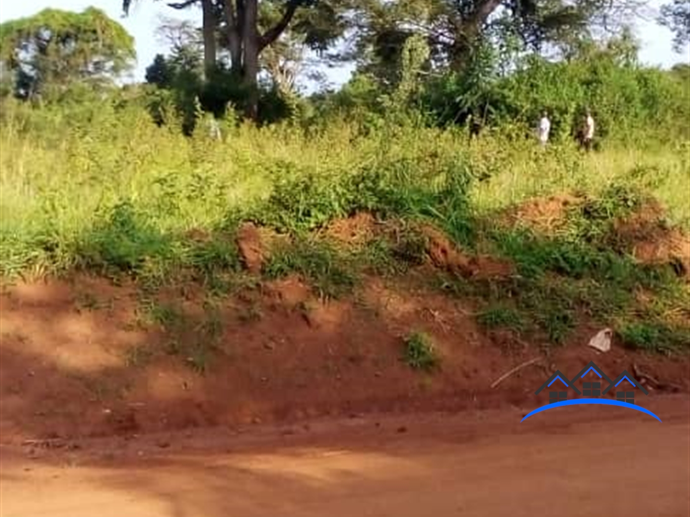 Agricultural Land for sale in Kakooge Nakasongola