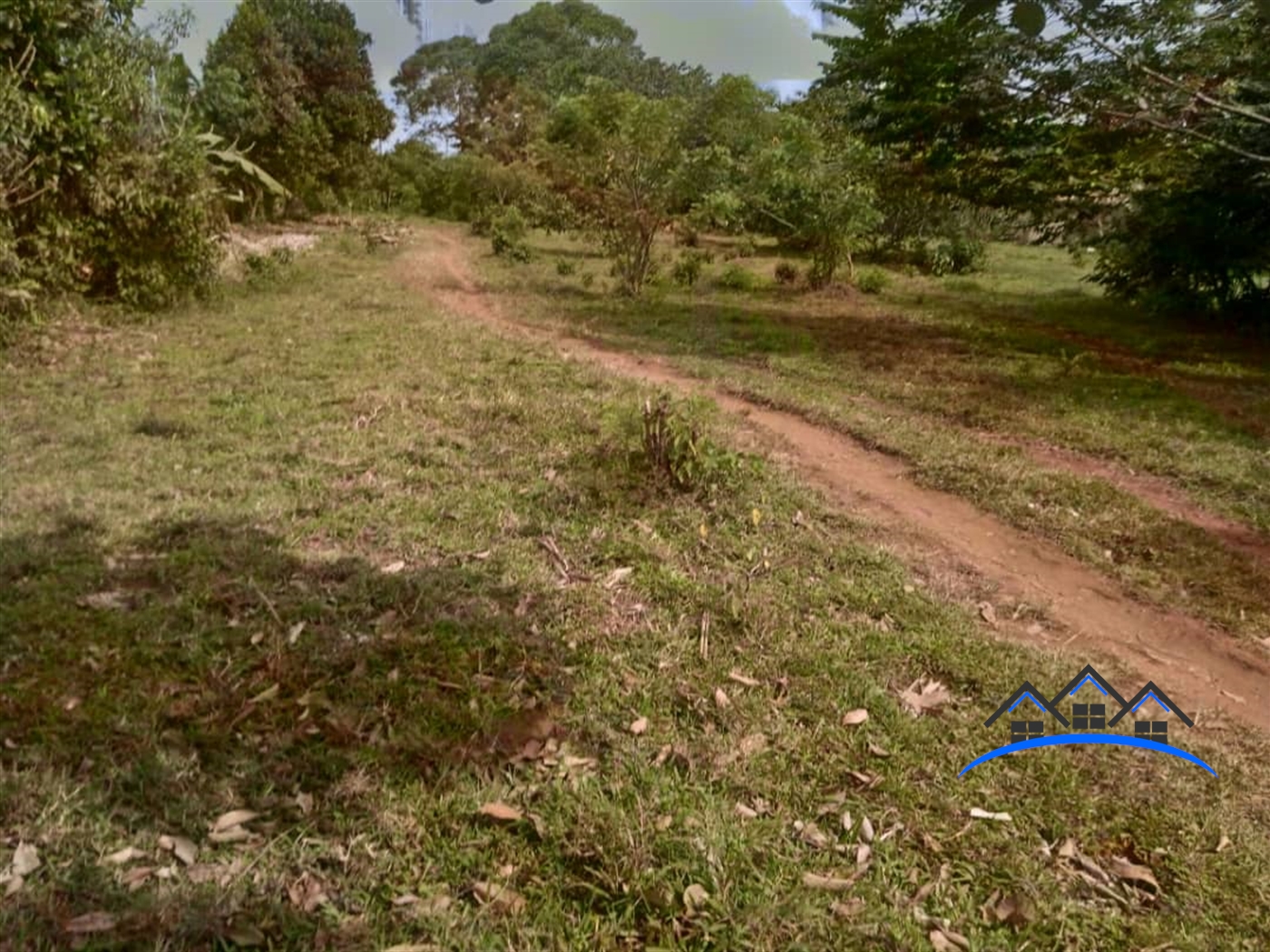 Agricultural Land for sale in Buwama Wakiso