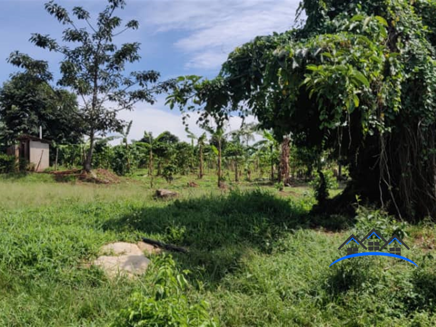 Agricultural Land for sale in Nkokonjeru Buyikwe Uganda, code: 94095 ...