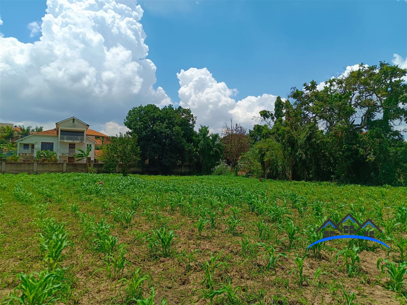 Residential Land for sale in Muyenga Kampala