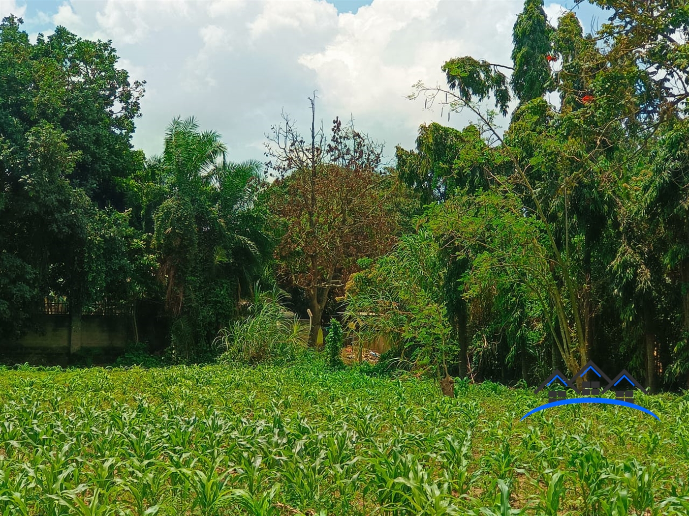 Residential Land for sale in Muyenga Kampala