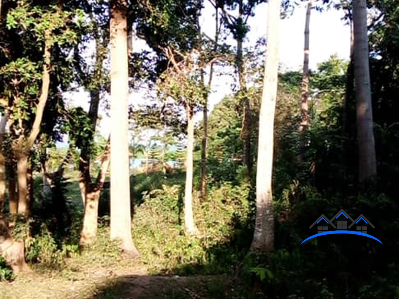 Residential Land for sale in Bukasa Wakiso